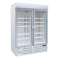 Refrigeration Upright Galss Door Freezer Mastercool Type D 930